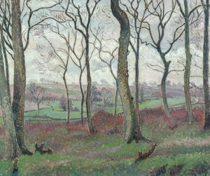 El camino de Dunmow desde Tilty Wood, 1915